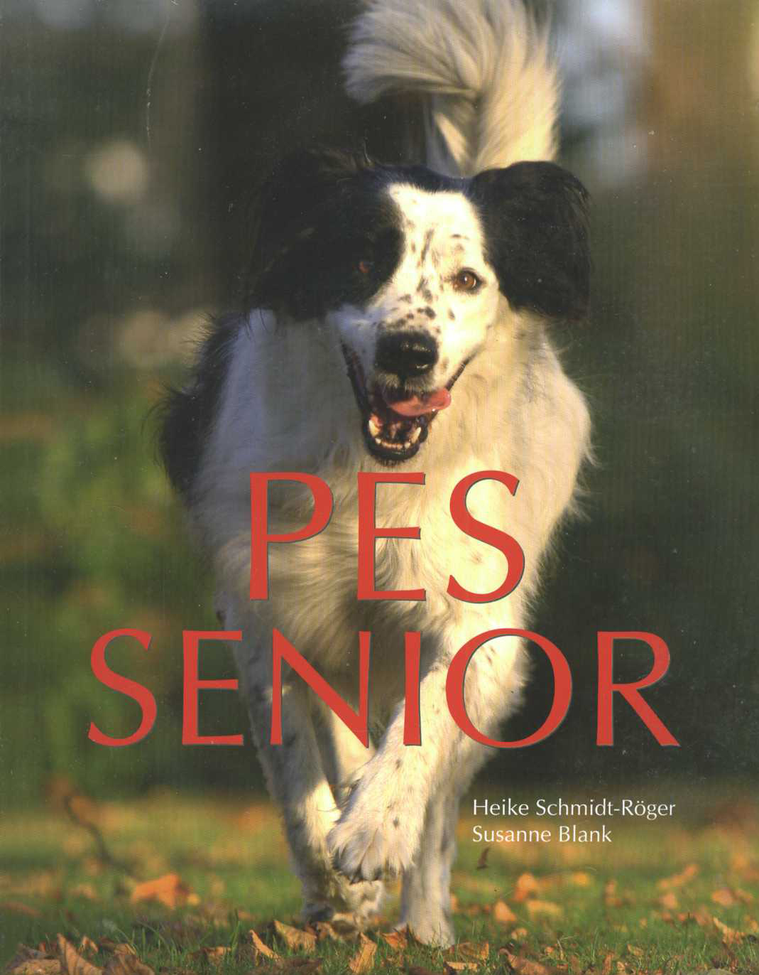 Pes senior (Heike Schmidt-Riger, Susanne Blank)