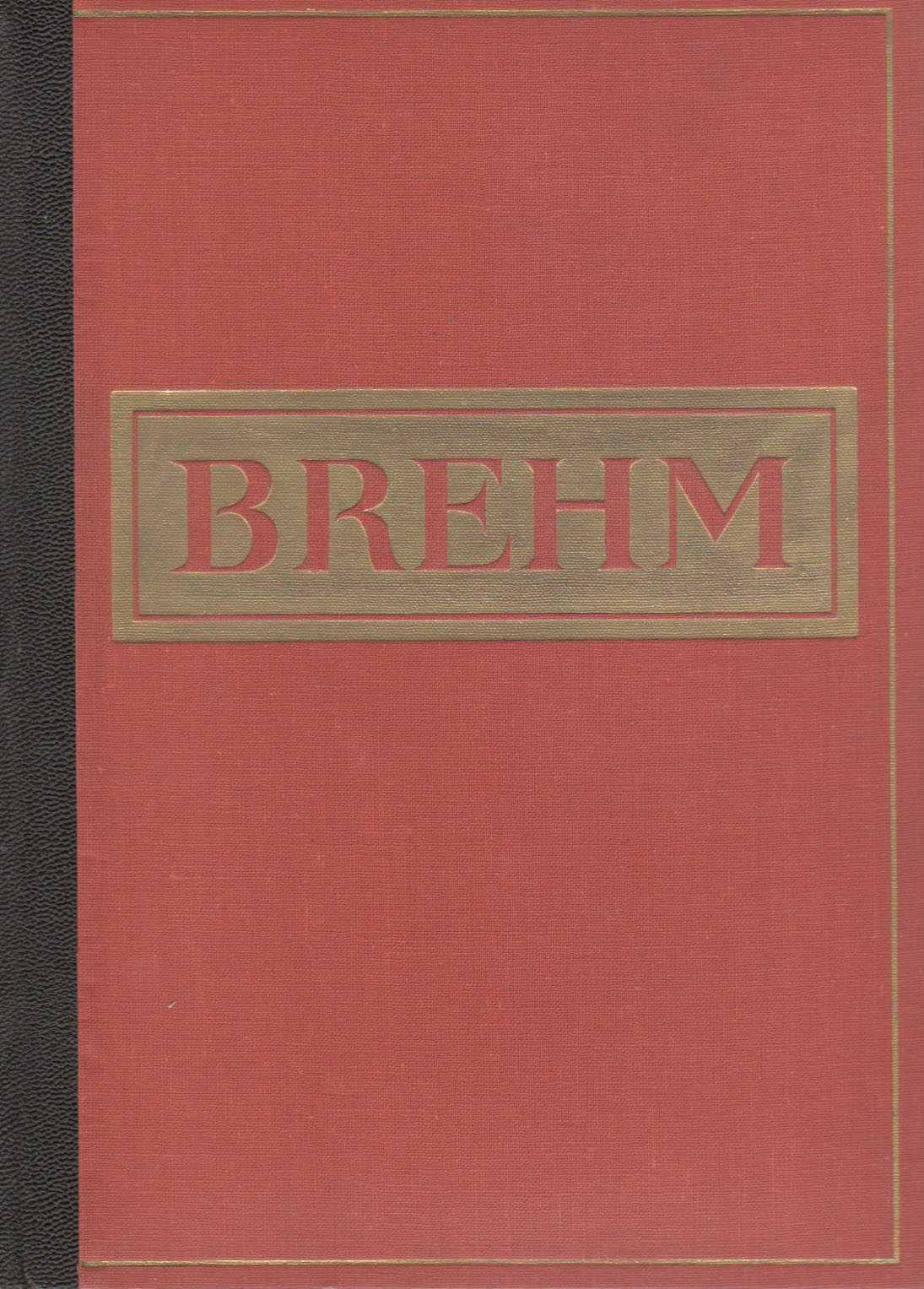 Brehmův život zvířat IV - Ssavci 2 (Alfred Brehm)
