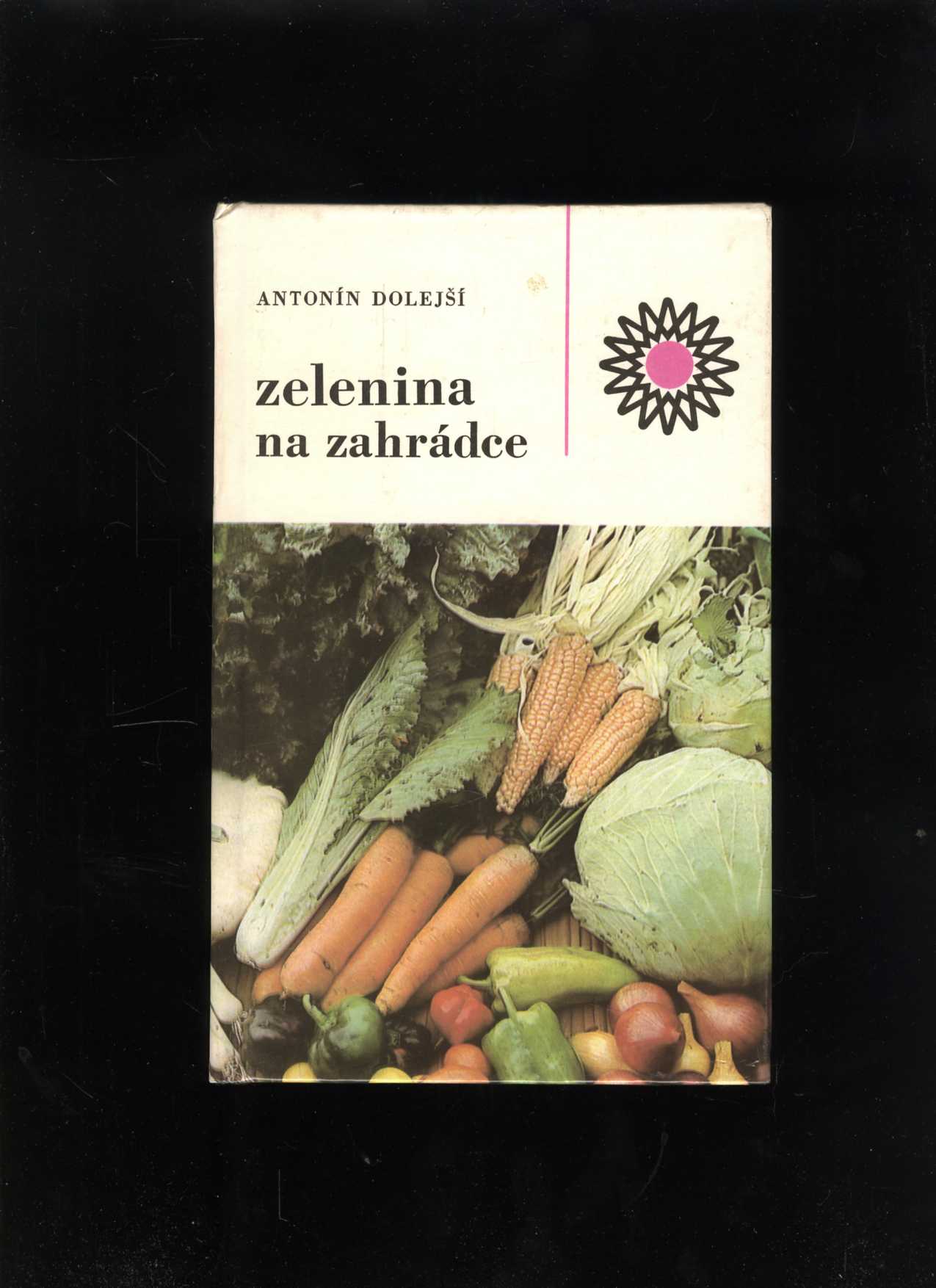 Zelenina na zahrádce (Antonín Dolejší)