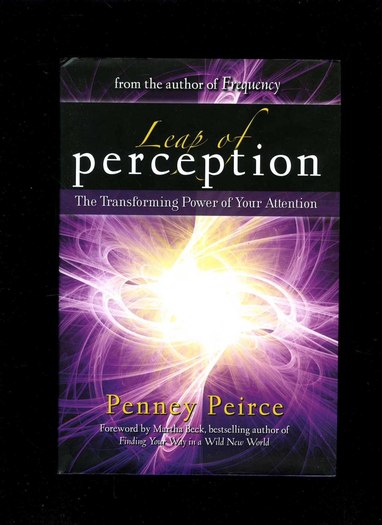 Leap of Perception (Penney Peirce)