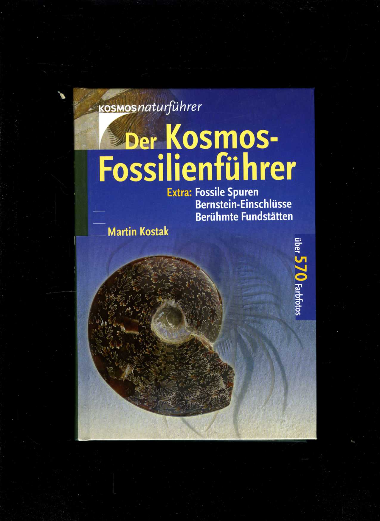 Der Kosmos-Fossilienführer
