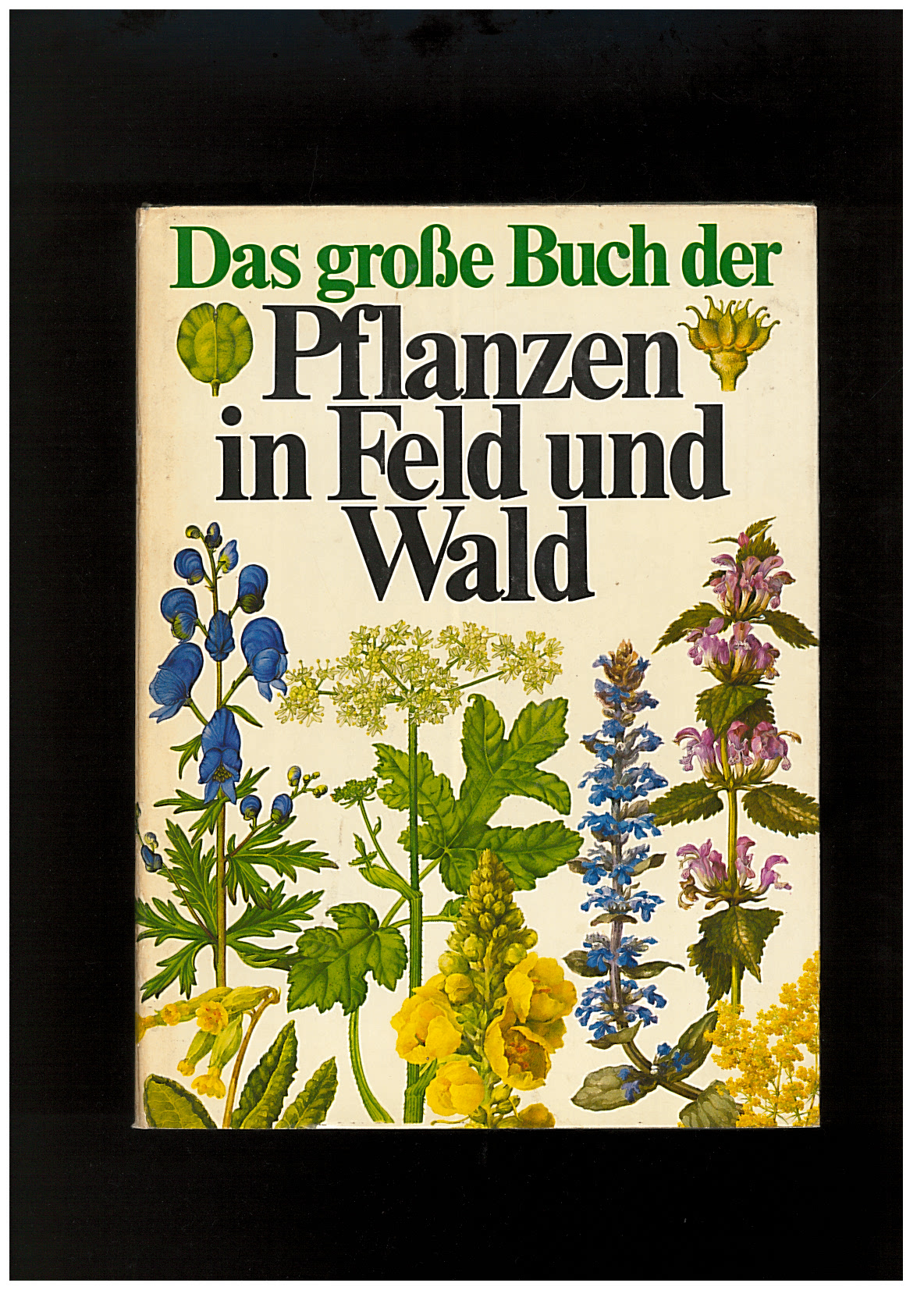 Das große Buch der Pflanzen in Feld und Wald