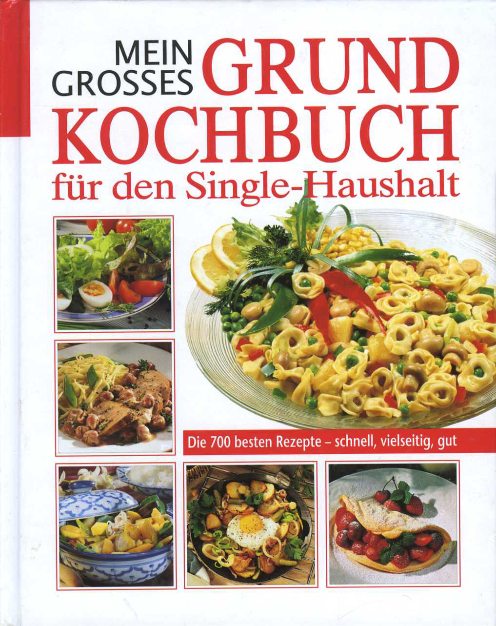 Mein grosses Grundkochbuch für den Single-Haushalt