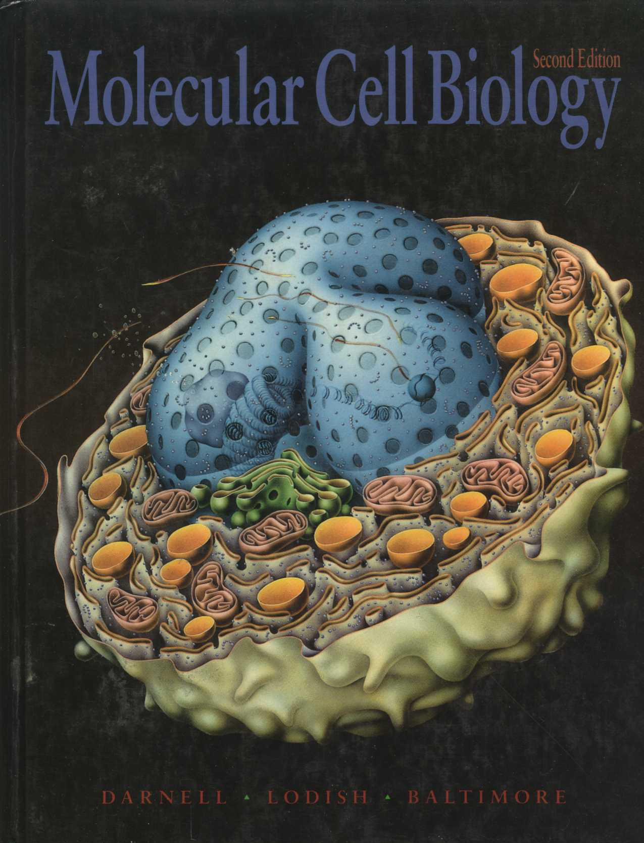 Molecular Cell Biology (Darnell, Lodish, Baltimore)