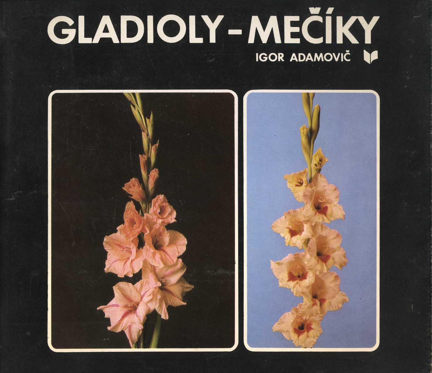 Gladioly - Mečíky (Igor Adamovič)