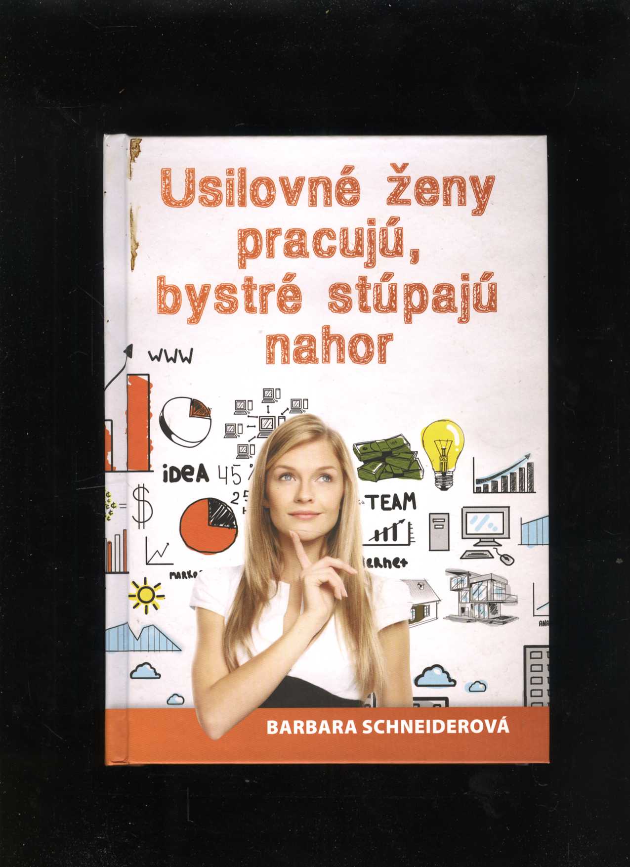 Usilovné ženy pracujú, bystré stúpajú nahor (Barbara Schneiderová)