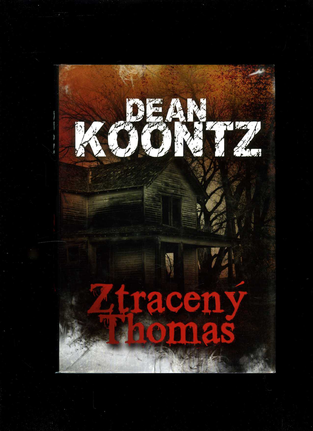 Ztracený Thomas (Dean Koontz)