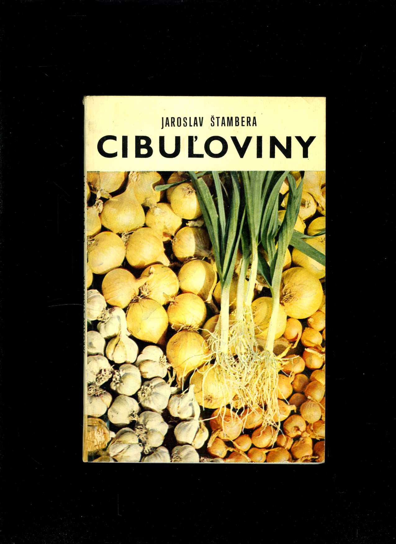 Cibuľoviny (Jaroslav Štambera)