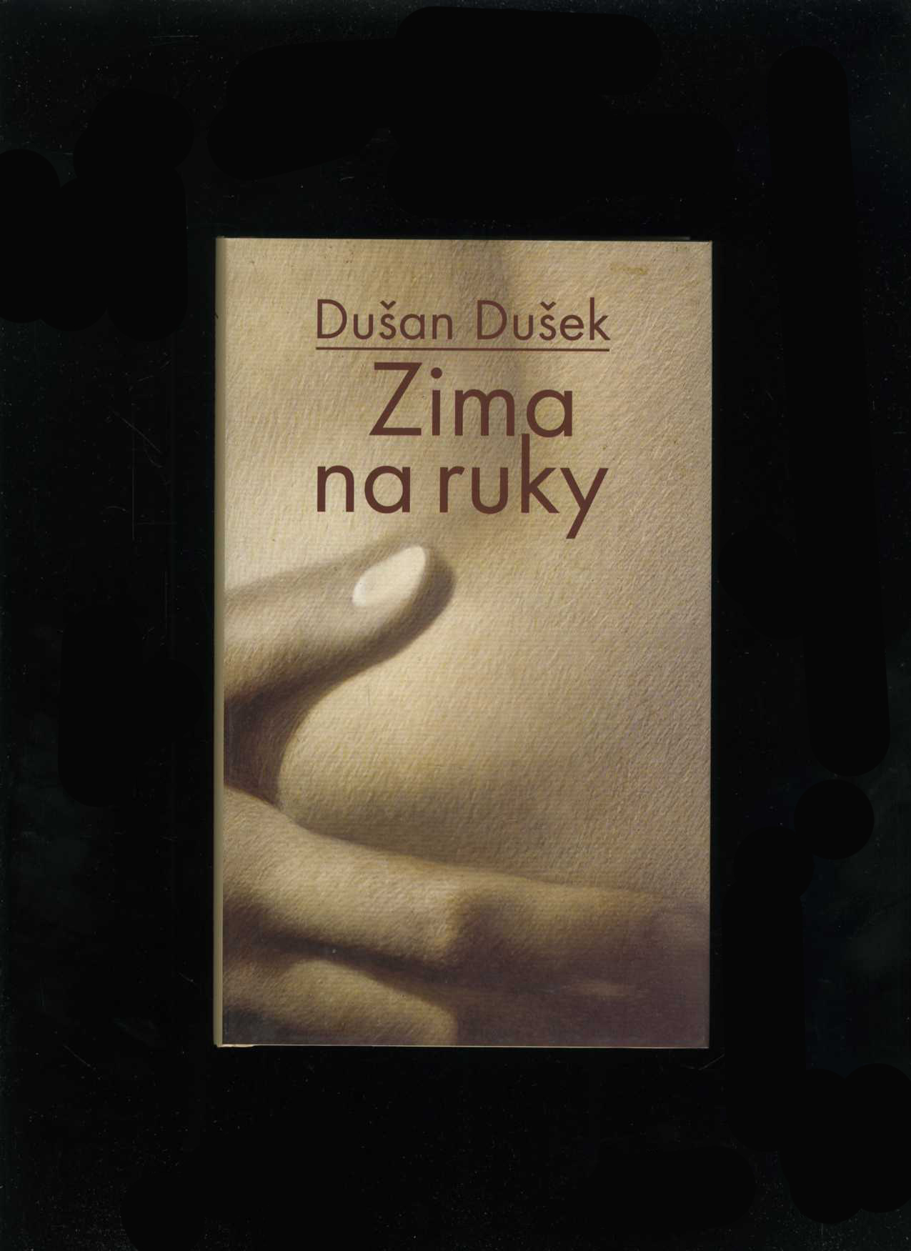 Zima na ruky (Dušan Dušek)