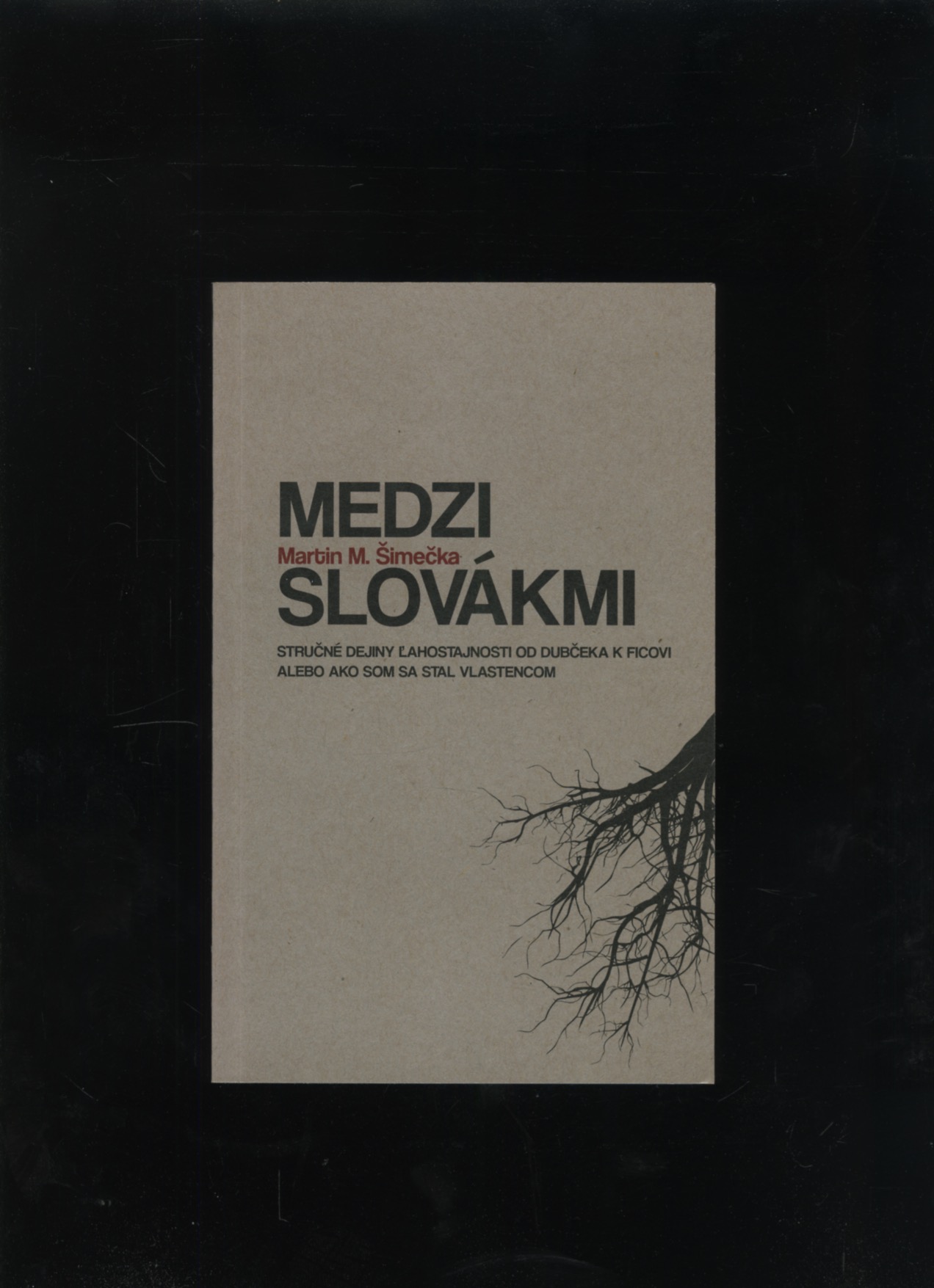 Medzi Slovákmi (Martin M. Šimečka)