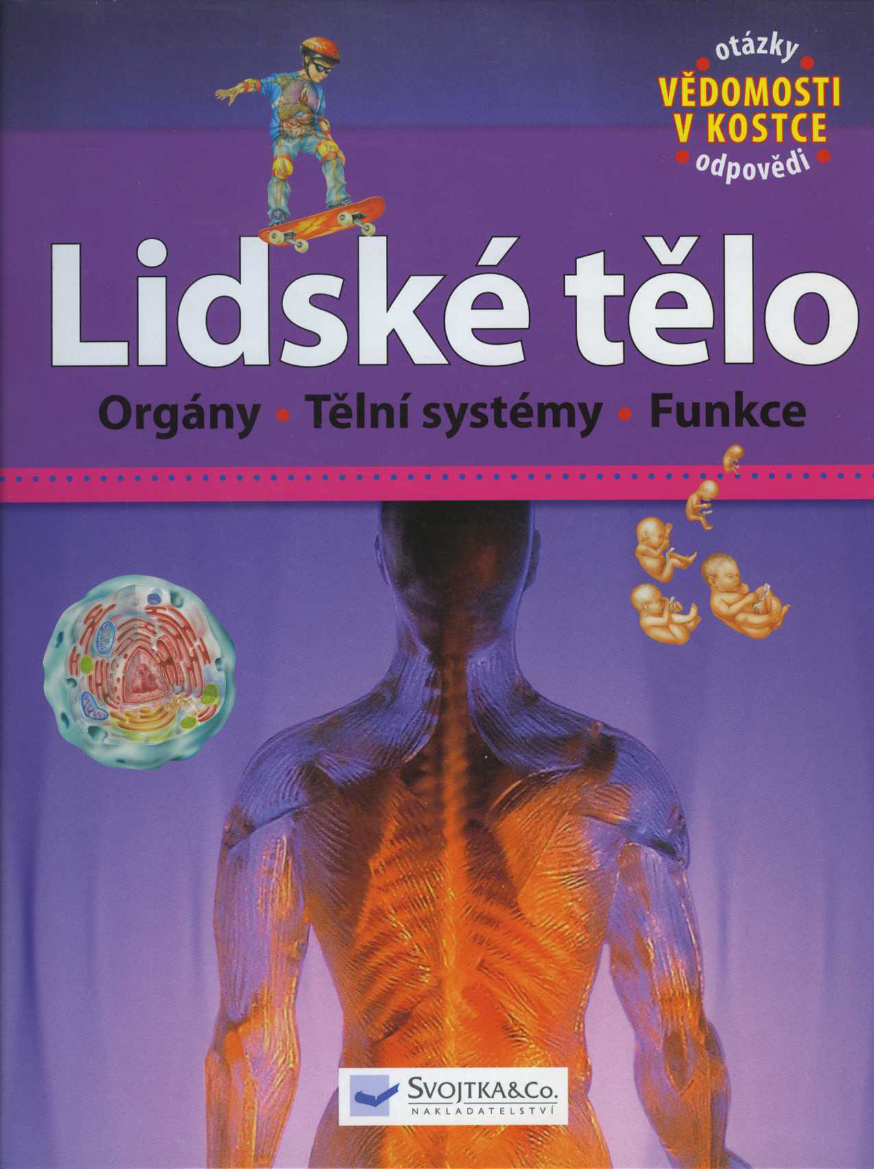 Lidské tělo 