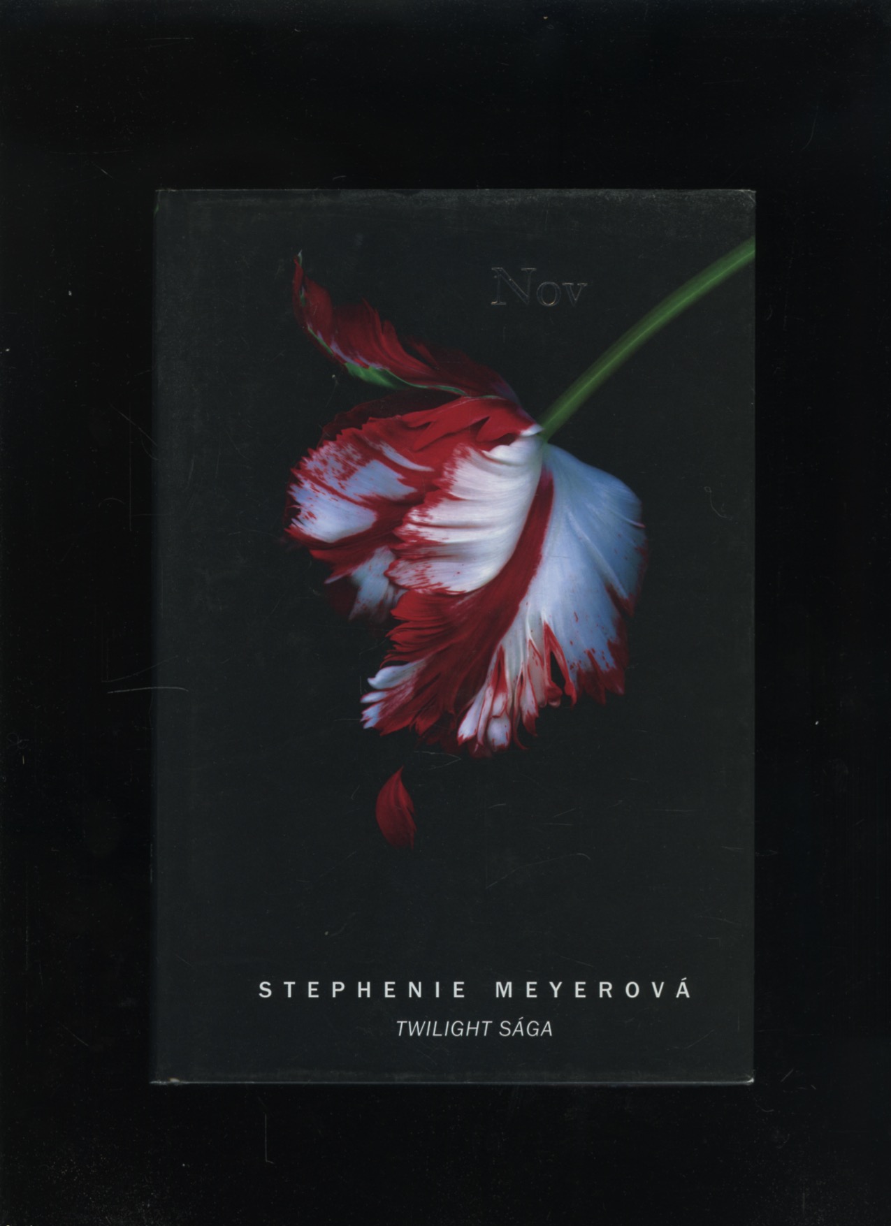 Nov (Stephenie Meyerová)