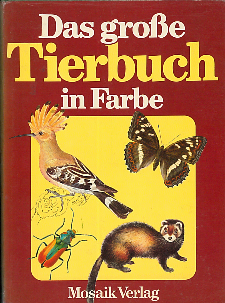 Das grosse Tierbuch in Farbe 