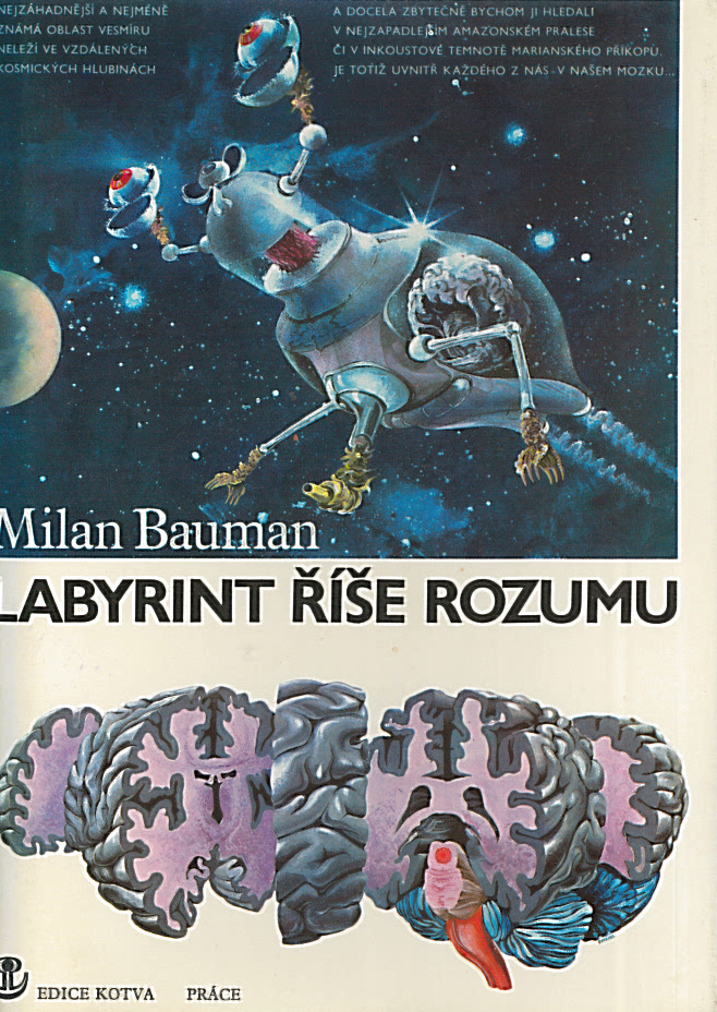 Labyrint říše rozumu (Milan Bauman)