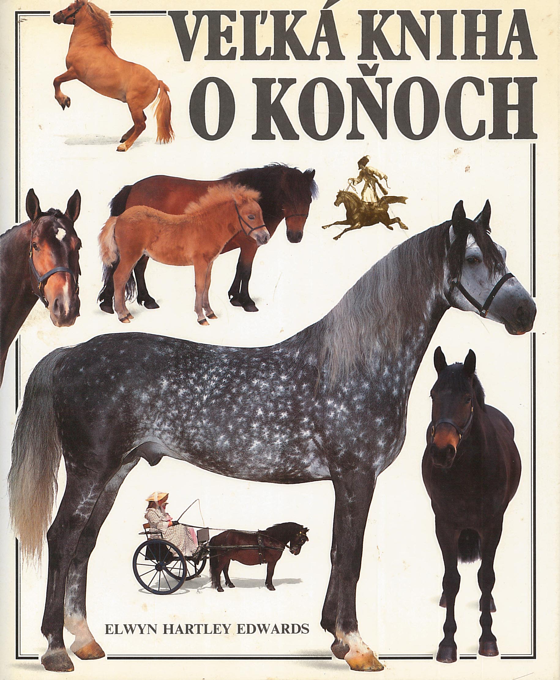 Veľká kniha o koňoch (Elwyn Hartley Edwards)